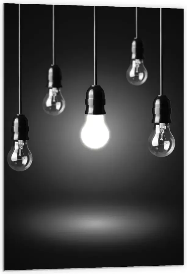 KuijsFotoprint Dibond Zwevende Lampen 60x90cm Foto op Aluminium (Met Ophangsysteem)