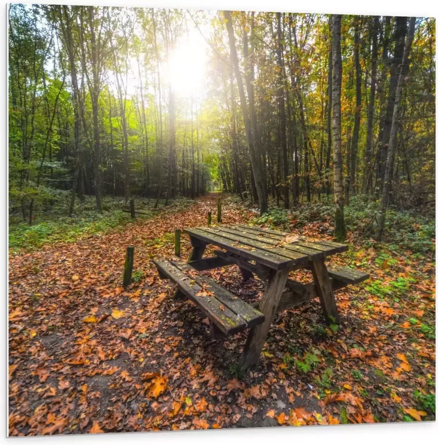 KuijsFotoprint Forex Picknicktafel in het Bos 100x100cm Foto op Forex