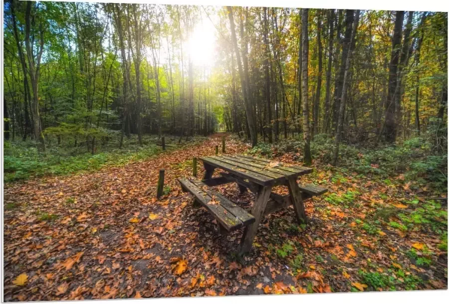 KuijsFotoprint Forex Picknicktafel in het Bos 120x80cm Foto op Forex