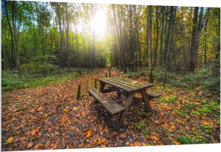 KuijsFotoprint Forex Picknicktafel in het Bos 150x100cm Foto op Forex