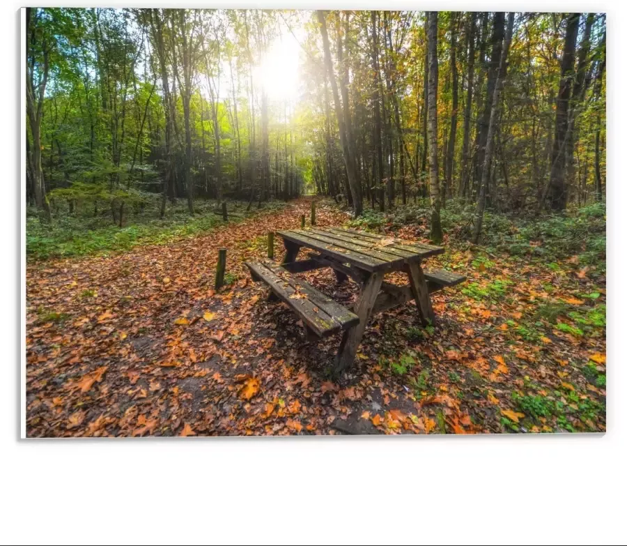 KuijsFotoprint Forex Picknicktafel in het Bos 40x30cm Foto op Forex