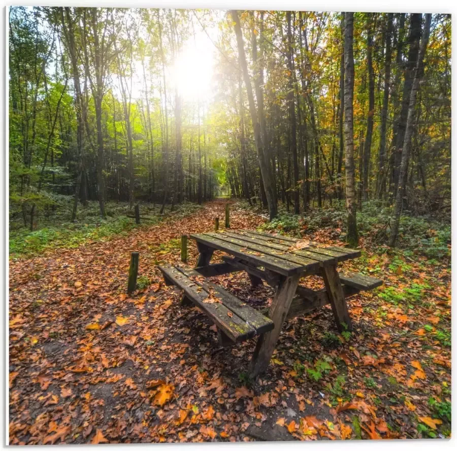 KuijsFotoprint Forex Picknicktafel in het Bos 50x50cm Foto op Forex