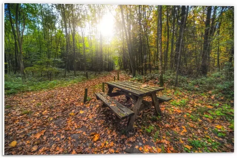 KuijsFotoprint Forex Picknicktafel in het Bos 60x40cm Foto op Forex