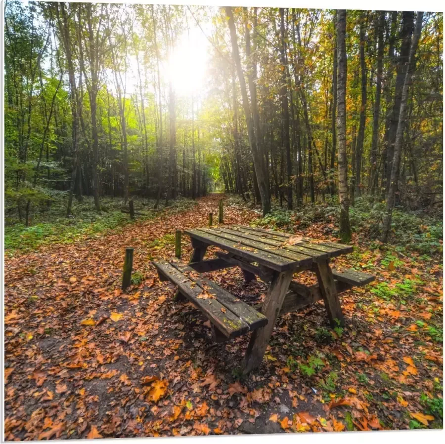 KuijsFotoprint Forex Picknicktafel in het Bos 80x80cm Foto op Forex