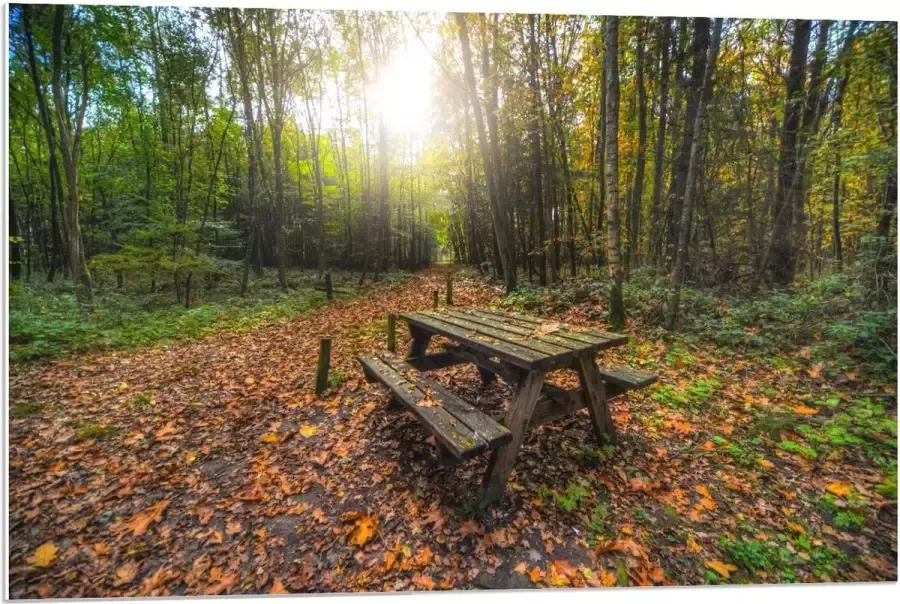 KuijsFotoprint Forex Picknicktafel in het Bos 90x60cm Foto op Forex