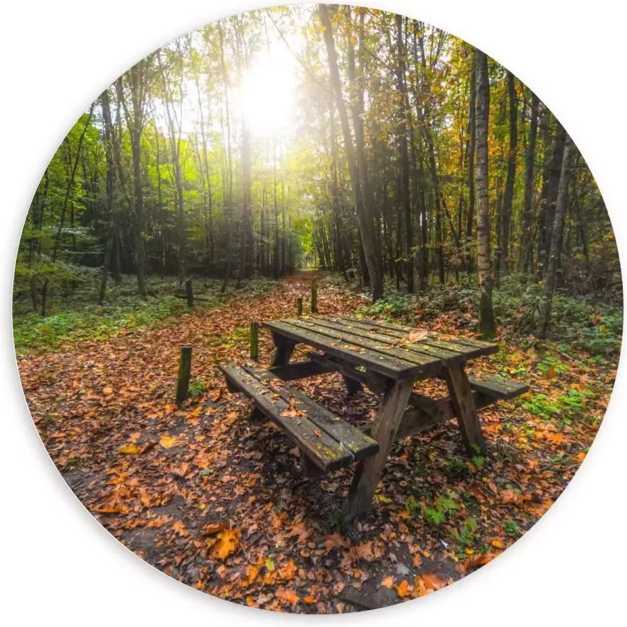 KuijsFotoprint Forex Wandcirkel Picknicktafel in het Bos 100x100cm Foto op Wandcirkel (met ophangsysteem)