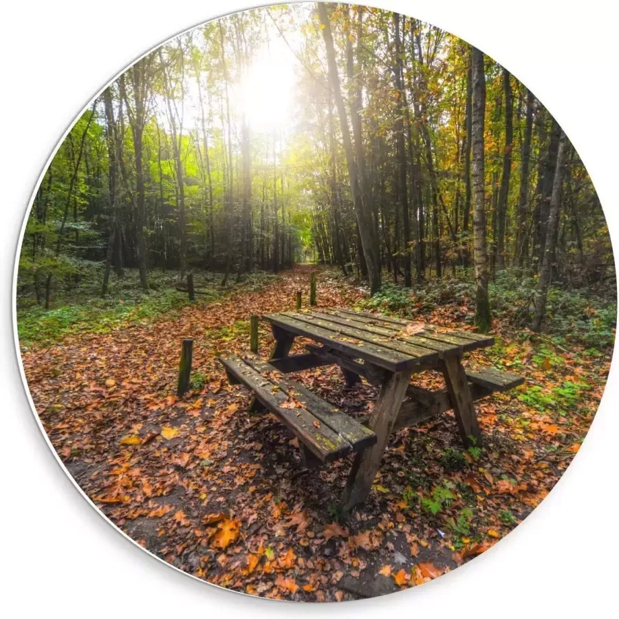 KuijsFotoprint Forex Wandcirkel Picknicktafel in het Bos 30x30cm Foto op Wandcirkel (met ophangsysteem)