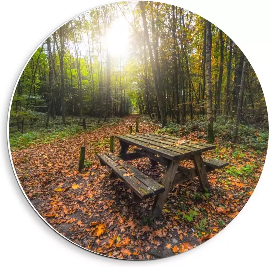 KuijsFotoprint Forex Wandcirkel Picknicktafel in het Bos 40x40cm Foto op Wandcirkel (met ophangsysteem)