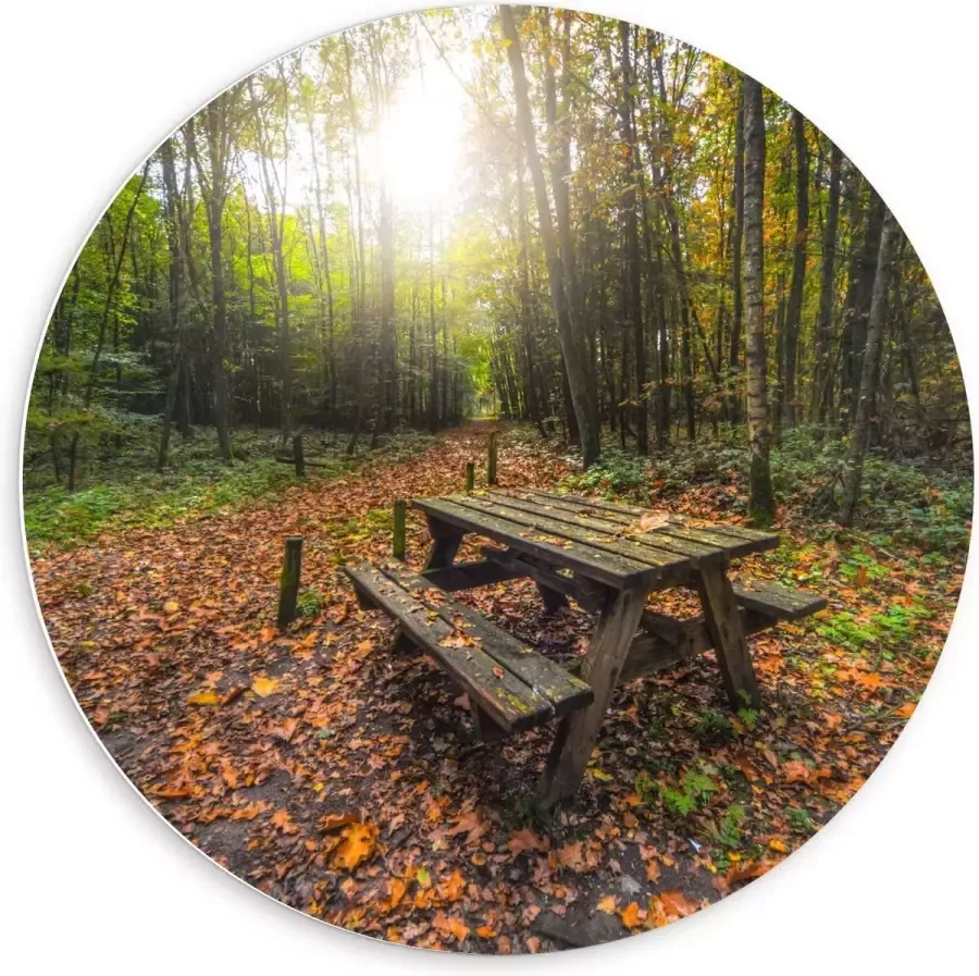 KuijsFotoprint Forex Wandcirkel Picknicktafel in het Bos 60x60cm Foto op Wandcirkel (met ophangsysteem)