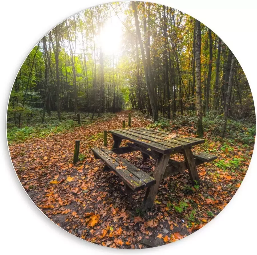 KuijsFotoprint Forex Wandcirkel Picknicktafel in het Bos 80x80cm Foto op Wandcirkel (met ophangsysteem)