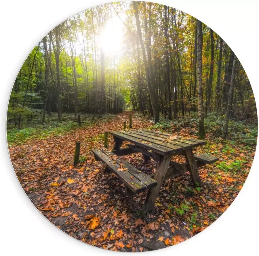 KuijsFotoprint Forex Wandcirkel Picknicktafel in het Bos 90x90cm Foto op Wandcirkel (met ophangsysteem)