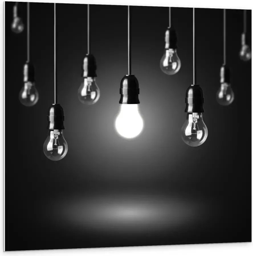 KuijsFotoprint Forex Zwevende Lampen 100x100cm Foto op Forex