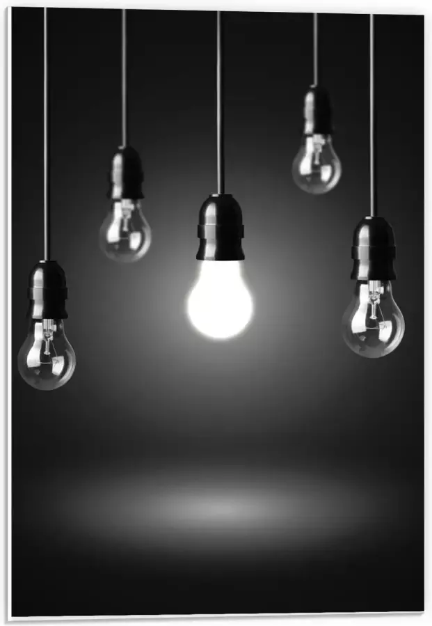 KuijsFotoprint Forex Zwevende Lampen 40x60cm Foto op Forex