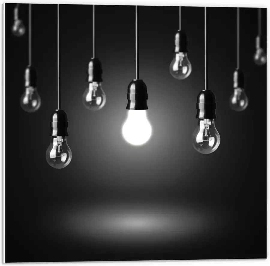 KuijsFotoprint Forex Zwevende Lampen 50x50cm Foto op Forex