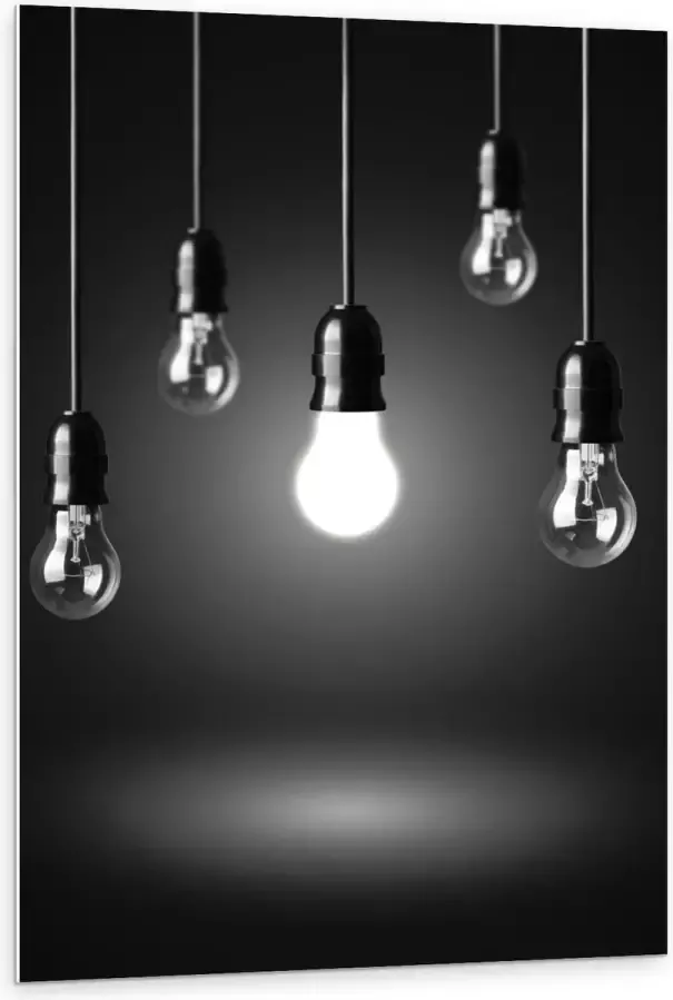 KuijsFotoprint Forex Zwevende Lampen 80x120cm Foto op Forex