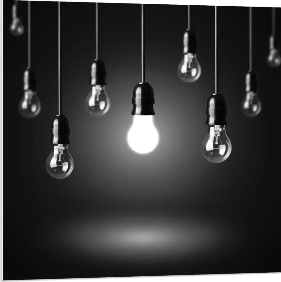 KuijsFotoprint Forex Zwevende Lampen 80x80cm Foto op Forex