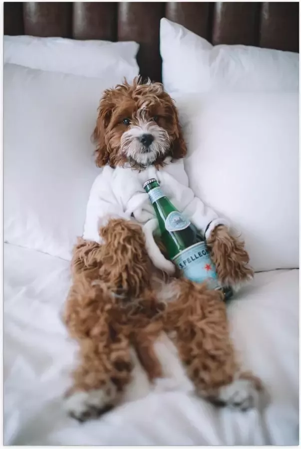 KuijsFotoprint Poster – Hond met Fles op Bed 100x150cm Foto op Posterpapier