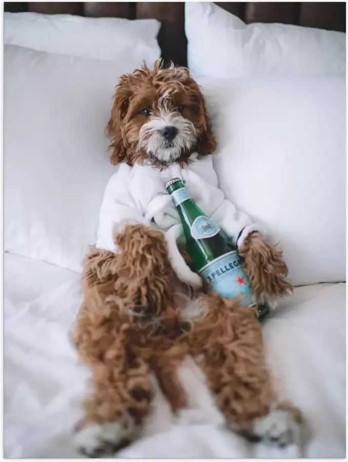 KuijsFotoprint Poster – Hond met Fles op Bed 30x40cm Foto op Posterpapier