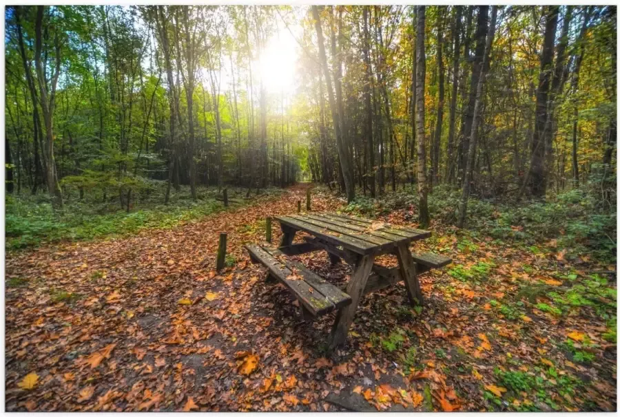 KuijsFotoprint Poster – Picknicktafel in het Bos 120x80cm Foto op Posterpapier