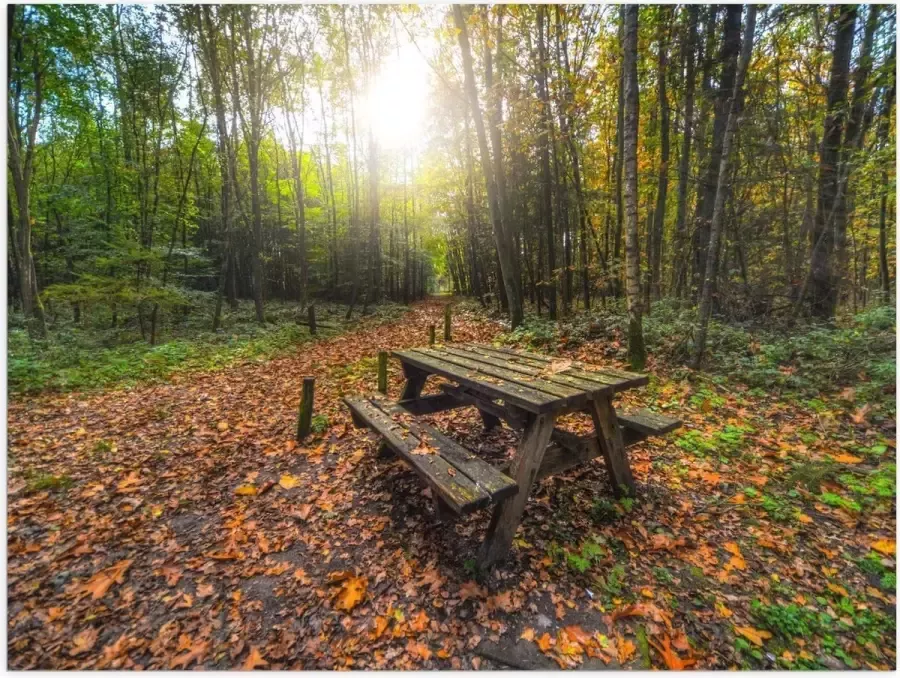 KuijsFotoprint Poster – Picknicktafel in het Bos 40x30cm Foto op Posterpapier