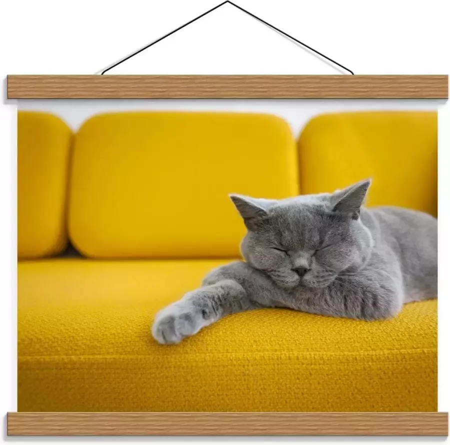 KuijsFotoprint Schoolplaat – Britse Korthaar rustend op Gele Bank 40x30cm Foto op Textielposter (Wanddecoratie op Schoolplaat)