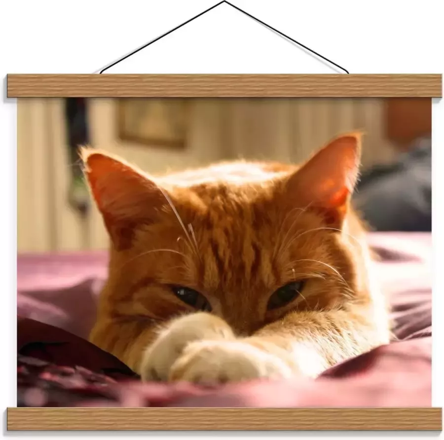 KuijsFotoprint Schoolplaat – Oranje Katje op Bed 40x30cm Foto op Textielposter (Wanddecoratie op Schoolplaat)