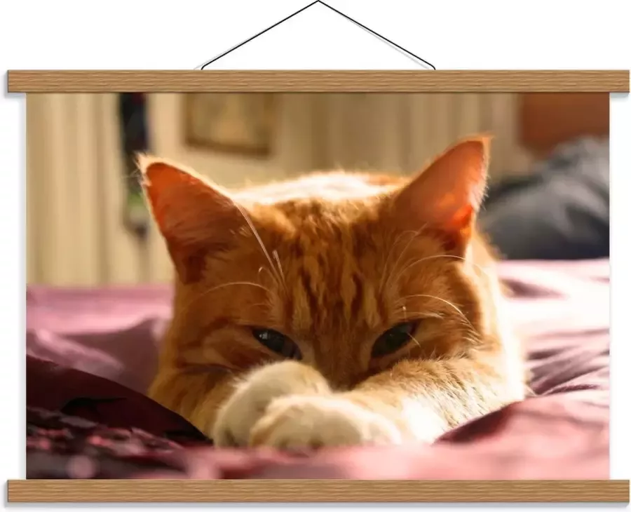 KuijsFotoprint Schoolplaat – Oranje Katje op Bed 60x40cm Foto op Textielposter (Wanddecoratie op Schoolplaat)