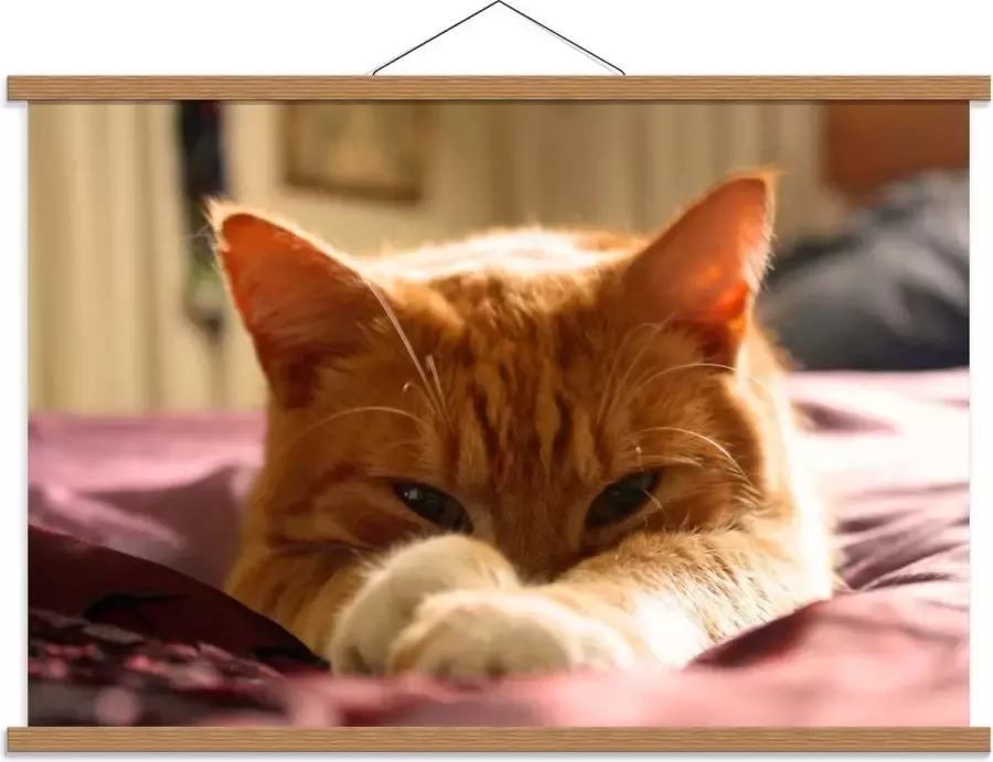 KuijsFotoprint Schoolplaat – Oranje Katje op Bed 90x60cm Foto op Textielposter (Wanddecoratie op Schoolplaat)