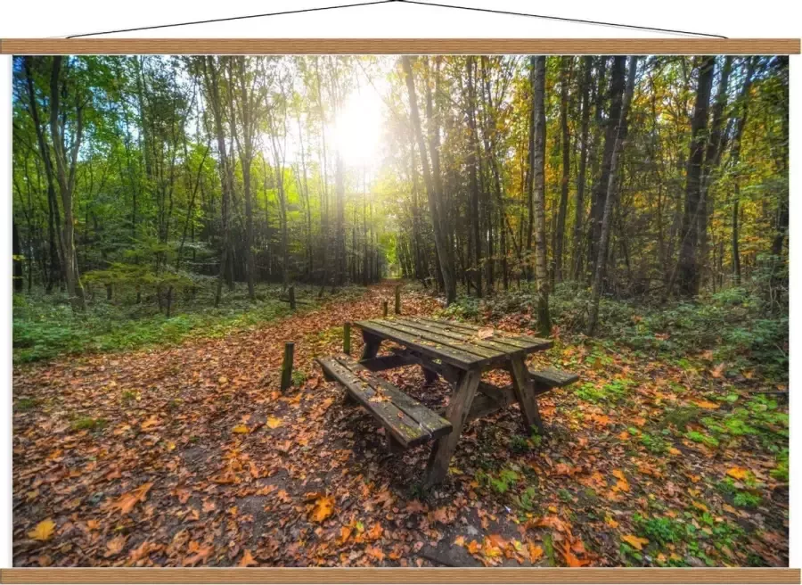 KuijsFotoprint Schoolplaat – Picknicktafel in het Bos 120x80cm Foto op Textielposter (Wanddecoratie op Schoolplaat)