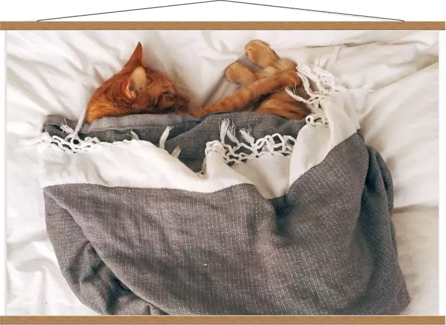 KuijsFotoprint Schoolplaat – Slapende Kat onder Deken op Bed 120x80cm Foto op Textielposter (Wanddecoratie op Schoolplaat)