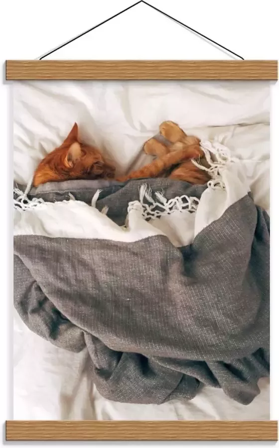 KuijsFotoprint Schoolplaat – Slapende Kat onder Deken op Bed 30x40cm Foto op Textielposter (Wanddecoratie op Schoolplaat)