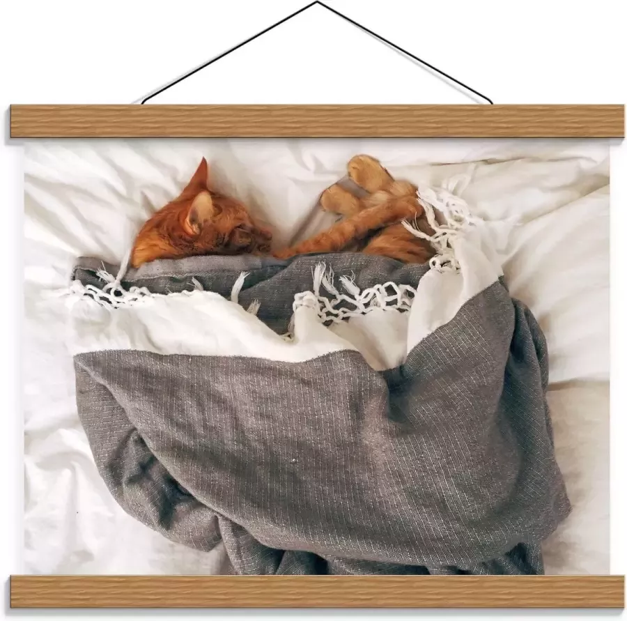 KuijsFotoprint Schoolplaat – Slapende Kat onder Deken op Bed 40x30cm Foto op Textielposter (Wanddecoratie op Schoolplaat)