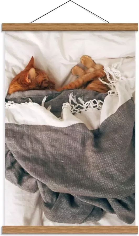 KuijsFotoprint Schoolplaat – Slapende Kat onder Deken op Bed 40x60cm Foto op Textielposter (Wanddecoratie op Schoolplaat)