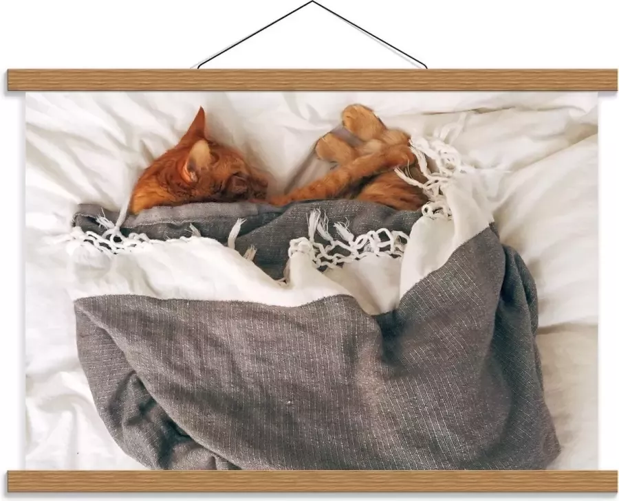 KuijsFotoprint Schoolplaat – Slapende Kat onder Deken op Bed 60x40cm Foto op Textielposter (Wanddecoratie op Schoolplaat)