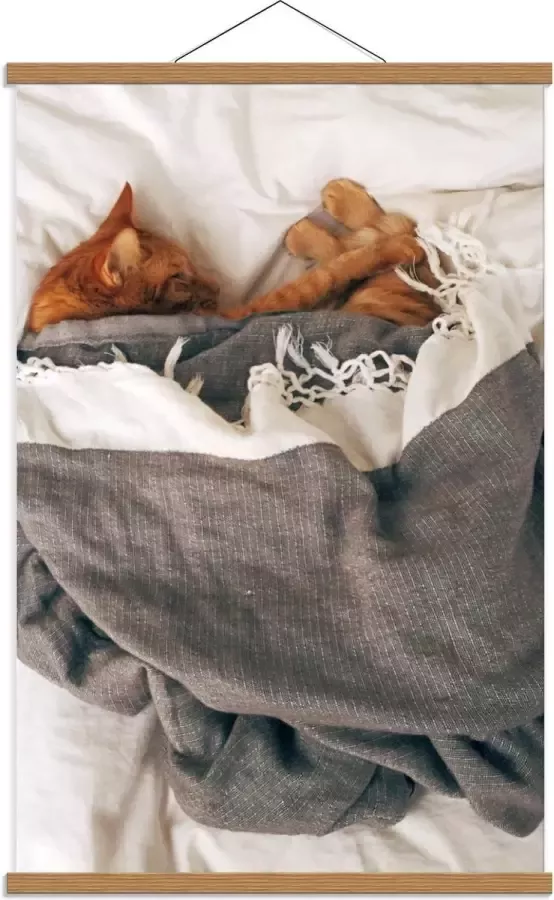 KuijsFotoprint Schoolplaat – Slapende Kat onder Deken op Bed 60x90cm Foto op Textielposter (Wanddecoratie op Schoolplaat)