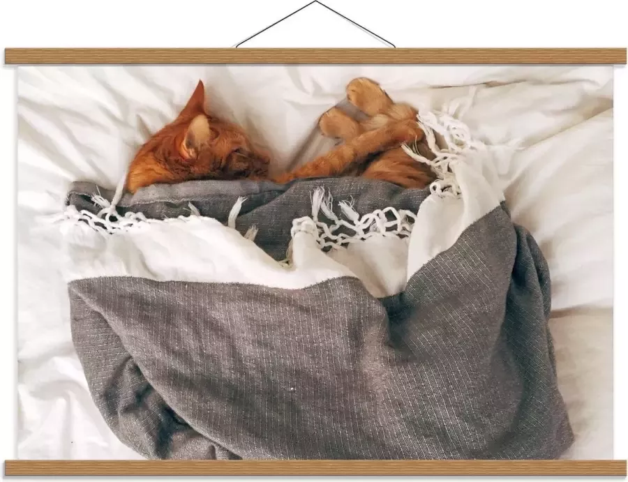 KuijsFotoprint Schoolplaat – Slapende Kat onder Deken op Bed 90x60cm Foto op Textielposter (Wanddecoratie op Schoolplaat)