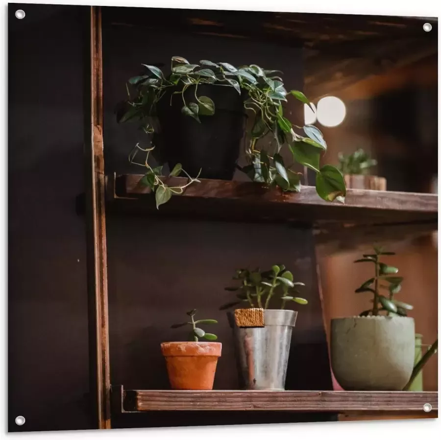 KuijsFotoprint Tuinposter – Bruine Kast met Planten in Herfst Thema 100x100cm Foto op Tuinposter (wanddecoratie voor buiten en binnen)