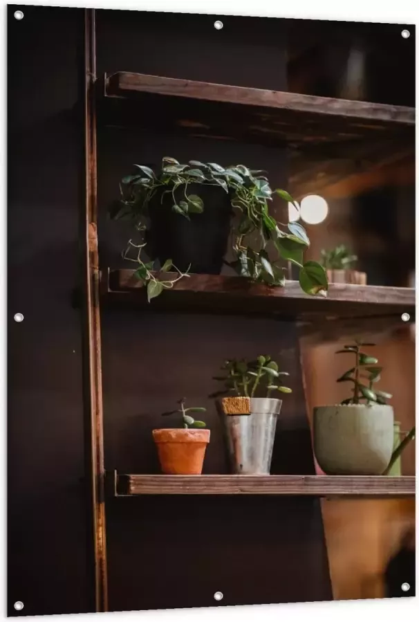 KuijsFotoprint Tuinposter – Bruine Kast met Planten in Herfst Thema 100x150cm Foto op Tuinposter (wanddecoratie voor buiten en binnen)