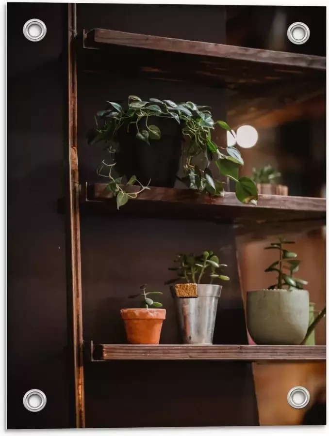 KuijsFotoprint Tuinposter – Bruine Kast met Planten in Herfst Thema 30x40cm Foto op Tuinposter (wanddecoratie voor buiten en binnen)