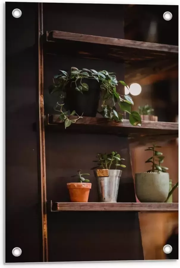 KuijsFotoprint Tuinposter – Bruine Kast met Planten in Herfst Thema 40x60cm Foto op Tuinposter (wanddecoratie voor buiten en binnen)