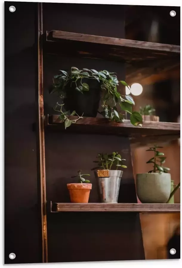 KuijsFotoprint Tuinposter – Bruine Kast met Planten in Herfst Thema 60x90cm Foto op Tuinposter (wanddecoratie voor buiten en binnen)