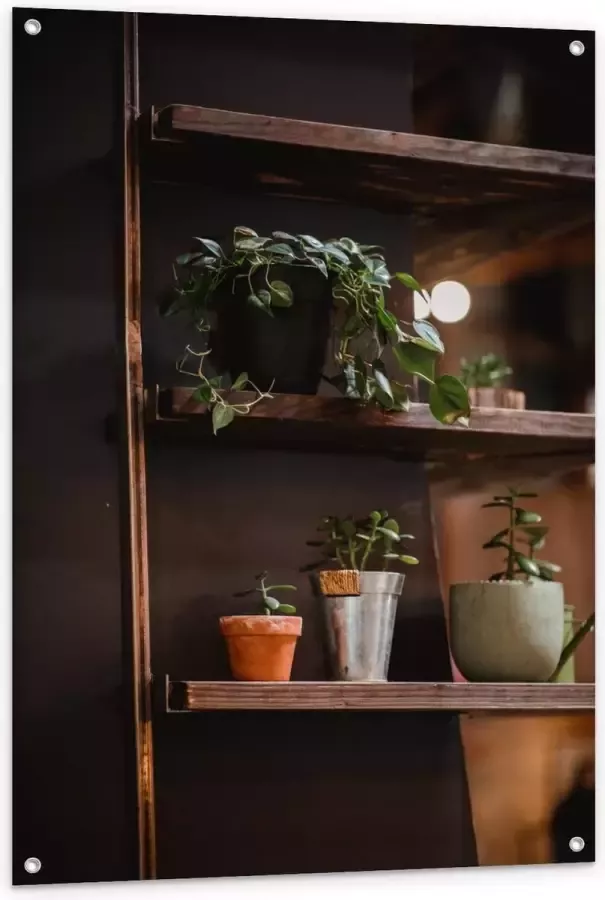 KuijsFotoprint Tuinposter – Bruine Kast met Planten in Herfst Thema 80x120cm Foto op Tuinposter (wanddecoratie voor buiten en binnen)