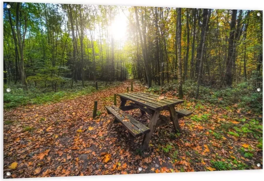 KuijsFotoprint Tuinposter – Picknicktafel in het Bos 150x100cm Foto op Tuinposter (wanddecoratie voor buiten en binnen)