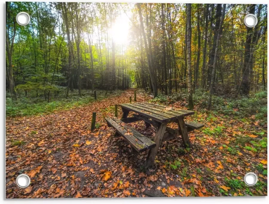 KuijsFotoprint Tuinposter – Picknicktafel in het Bos 40x30cm Foto op Tuinposter (wanddecoratie voor buiten en binnen)