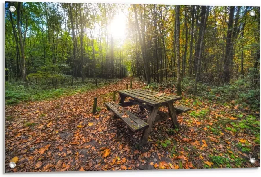 KuijsFotoprint Tuinposter – Picknicktafel in het Bos 90x60cm Foto op Tuinposter (wanddecoratie voor buiten en binnen)