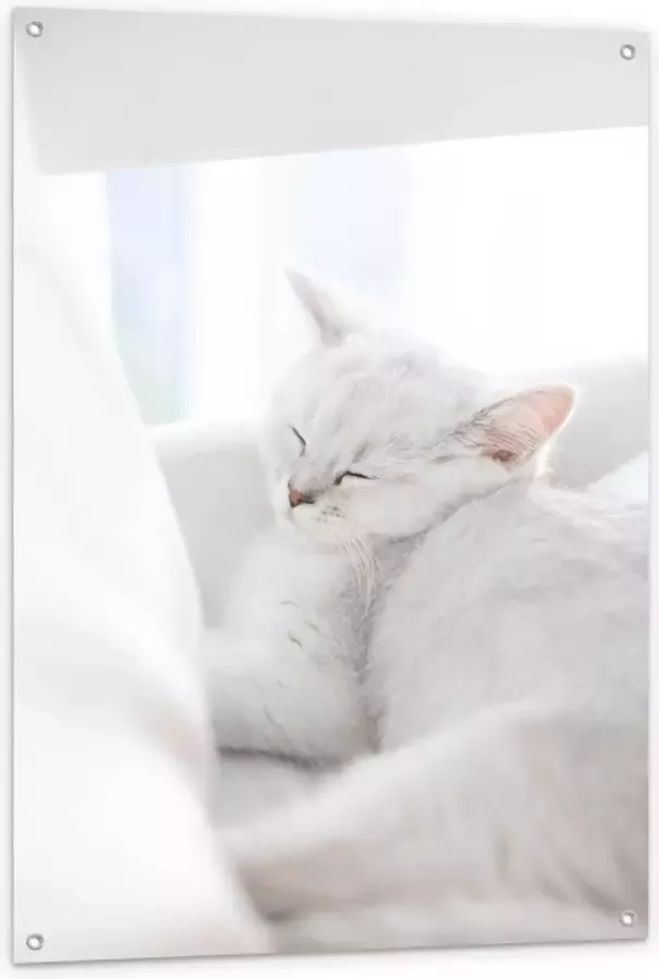 KuijsFotoprint Tuinposter – Witte Kat aan het Slapen in Stoel 80x120cm Foto op Tuinposter (wanddecoratie voor buiten en binnen)