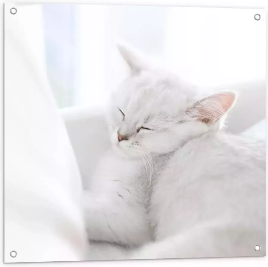 KuijsFotoprint Tuinposter – Witte Kat aan het Slapen in Stoel 80x80cm Foto op Tuinposter (wanddecoratie voor buiten en binnen)