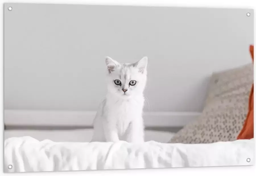 KuijsFotoprint Tuinposter – Witte Kat op Bed 120x80cm Foto op Tuinposter (wanddecoratie voor buiten en binnen)