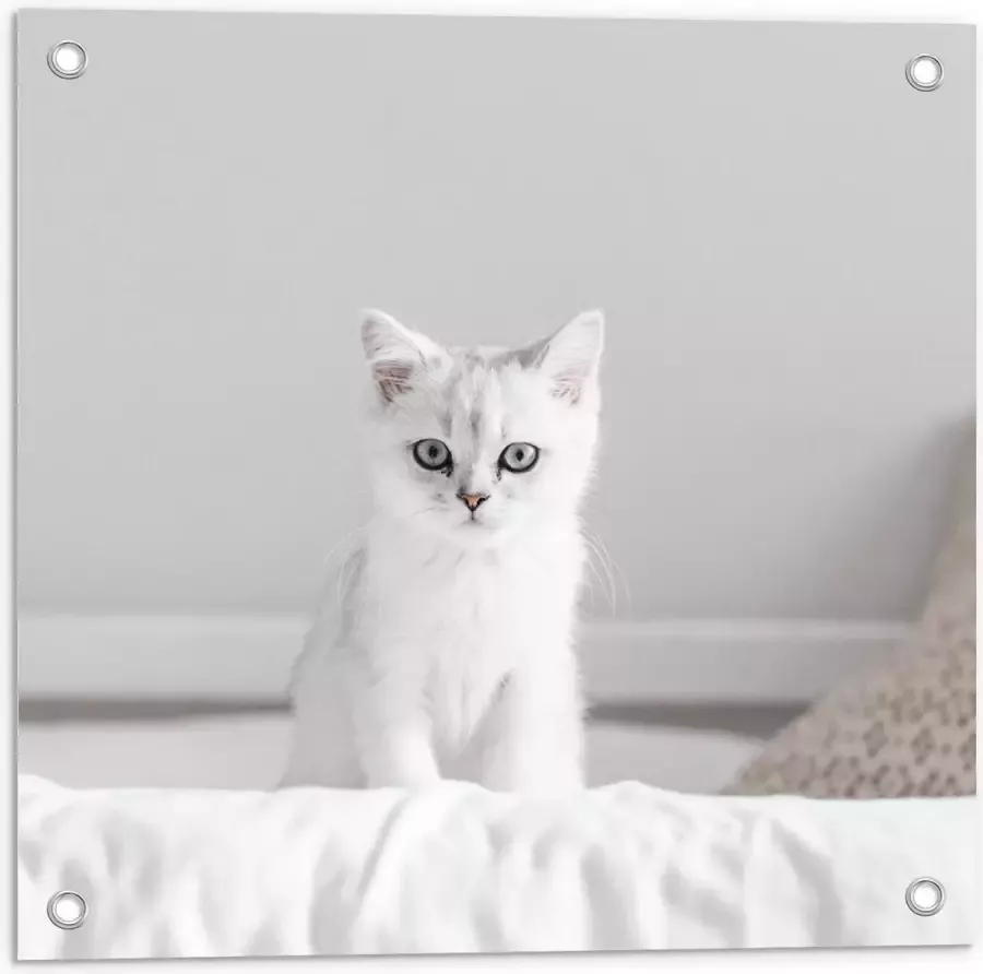 KuijsFotoprint Tuinposter – Witte Kat op Bed 50x50cm Foto op Tuinposter (wanddecoratie voor buiten en binnen)
