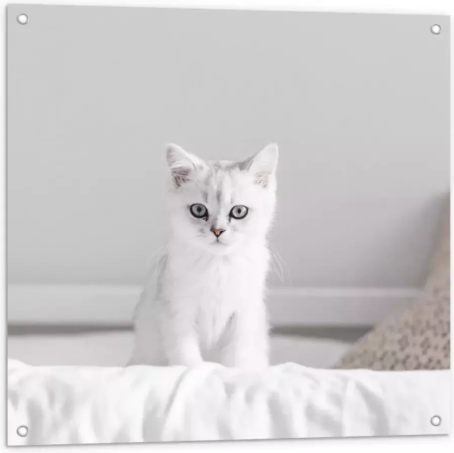 KuijsFotoprint Tuinposter – Witte Kat op Bed 80x80cm Foto op Tuinposter (wanddecoratie voor buiten en binnen)